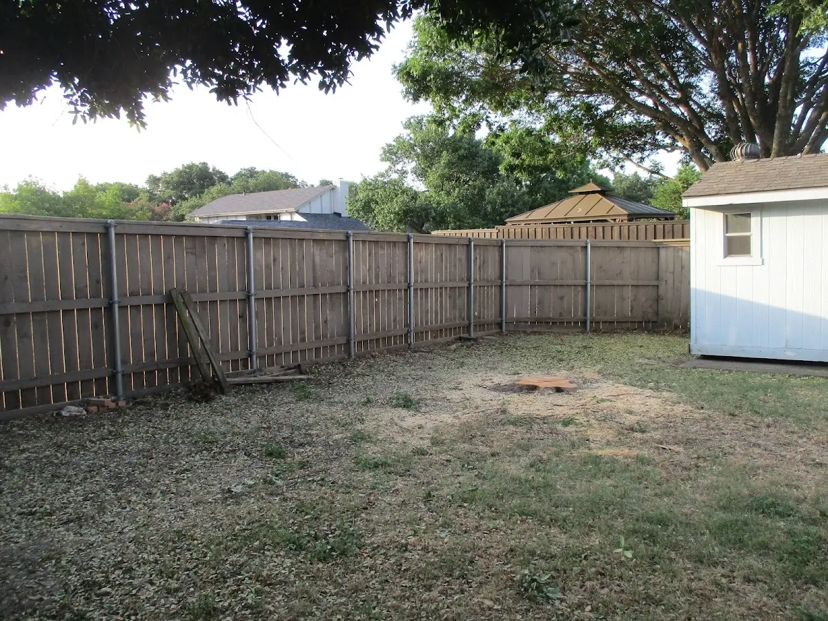 Cleared yard after professional tree removal in Tilghman