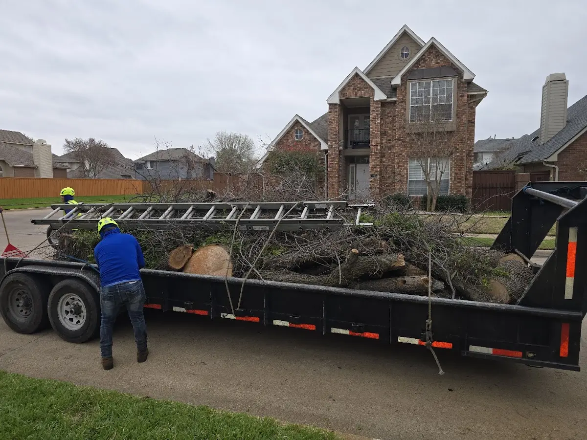 Expert Tree Removal with proper safety equipment in Tilghman